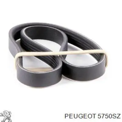 5750SZ Peugeot/Citroen Поликлиновый ремень