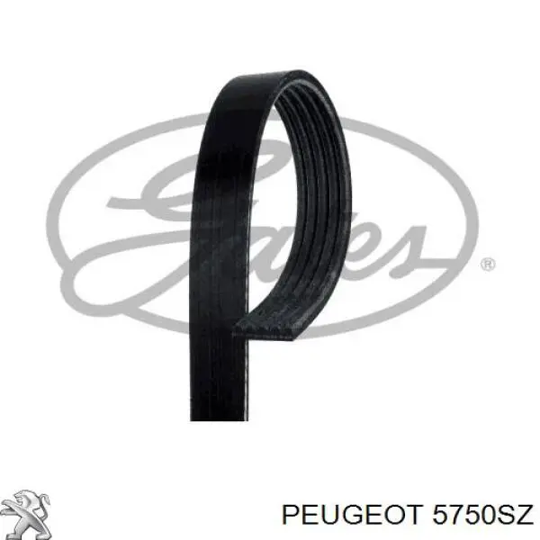 Клиновый ремень Peugeot/Citroen 5750SZ цена, от 5.50 USD