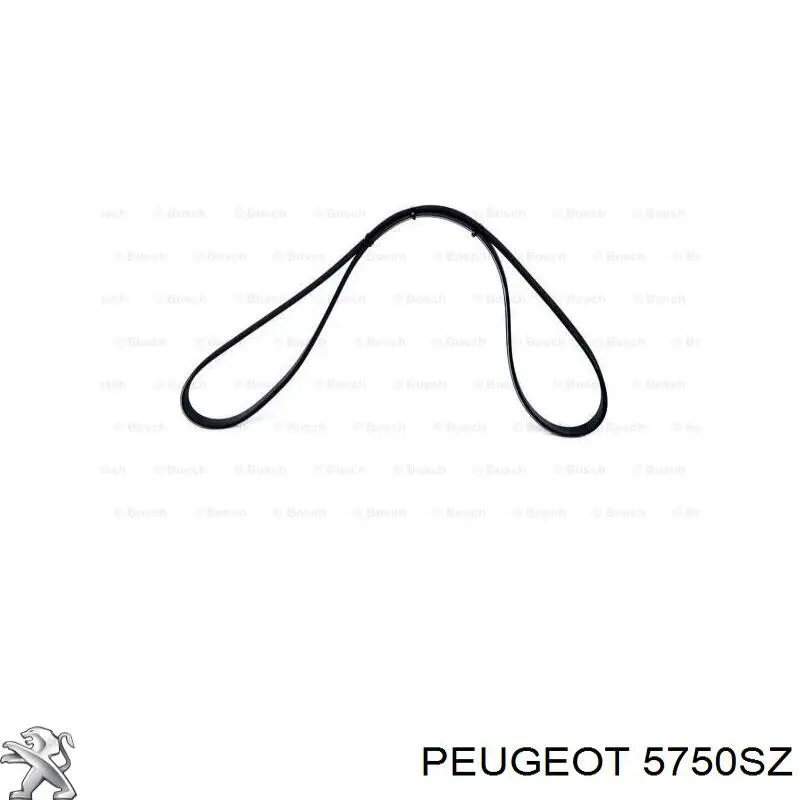 Ремень генератора 5750SZ Peugeot/Citroen
