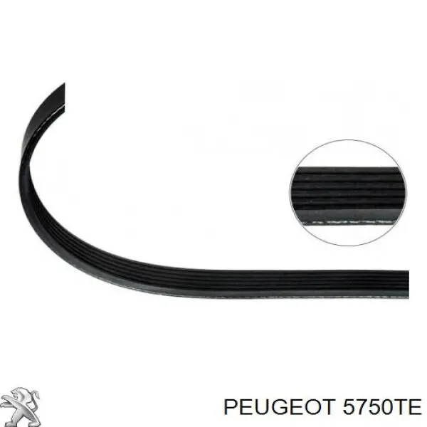 Клиновый ремень Peugeot/Citroen 5750TE цена, от 9.90 USD