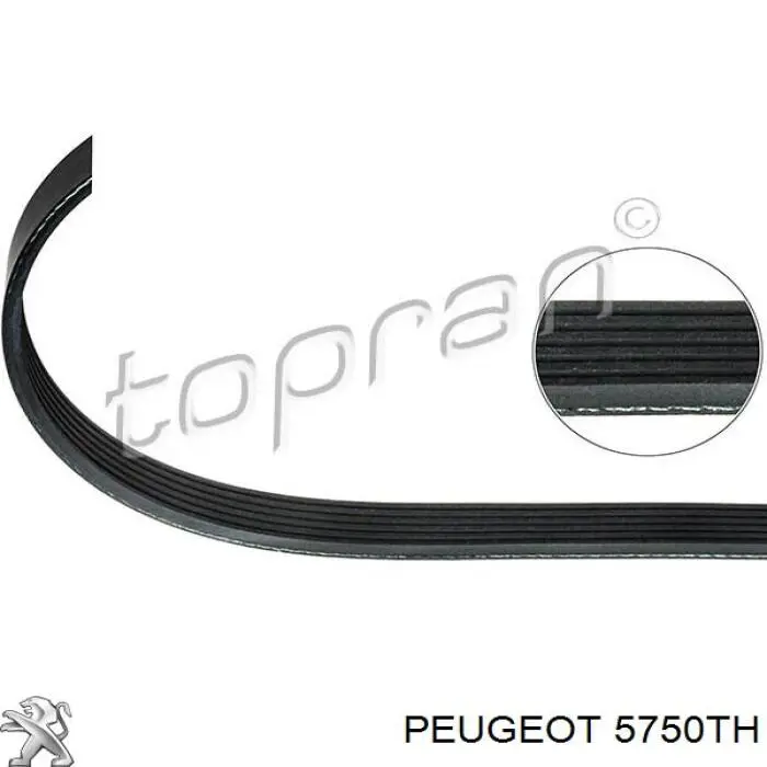 5750TH Peugeot/Citroen ремень генератора