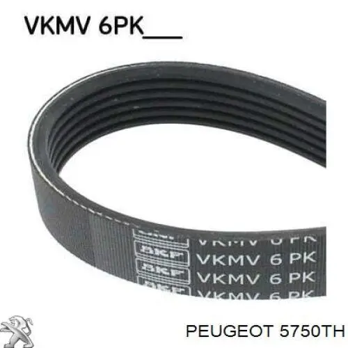 Клиновый ремень Peugeot/Citroen 5750TH цена, от 9.66 USD