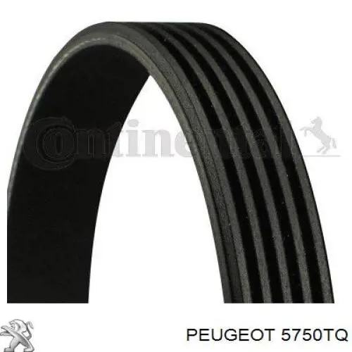 Купить 00005750TQ Peugeot/Citroen Ремень генератора