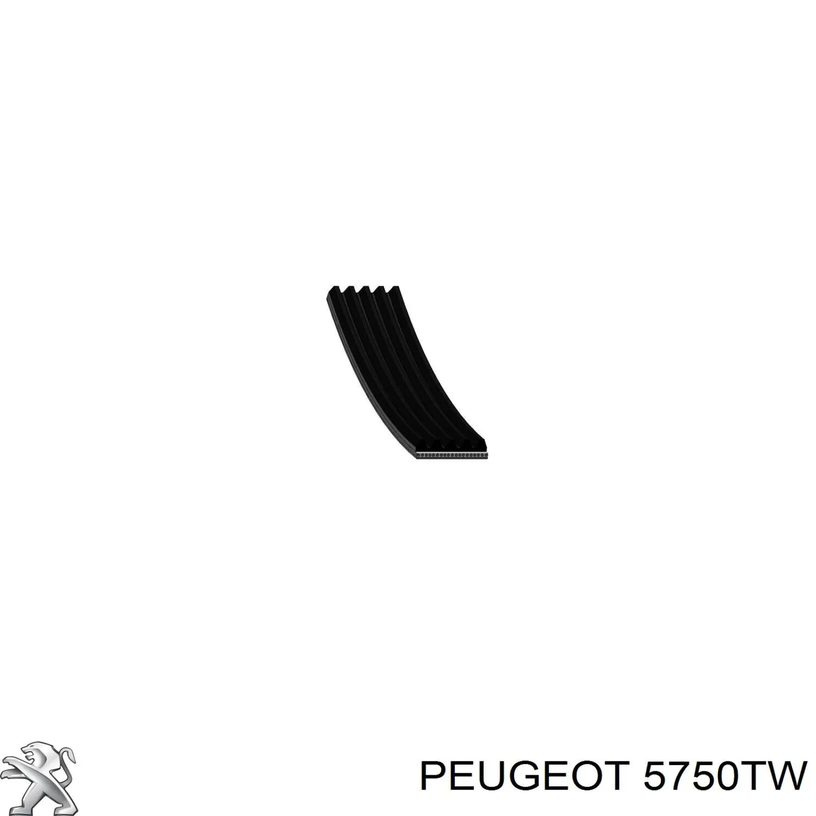 5750TW Peugeot/Citroen ремень генератора