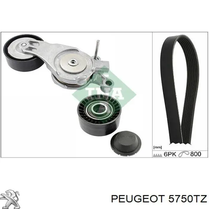Клиновый ремень Peugeot/Citroen 00005750TZ цена, от 17.88 USD
