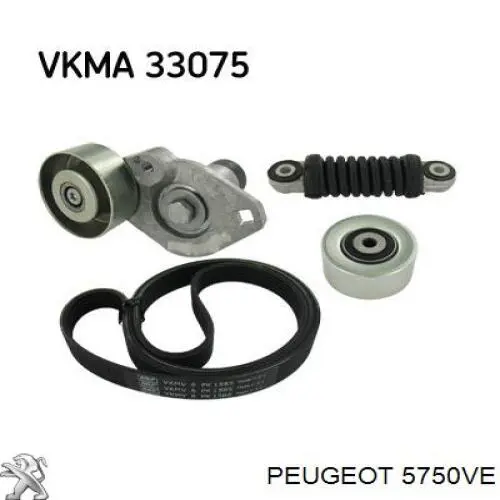 Клиновый ремень Peugeot/Citroen 5750VE цена, от 23.48 USD