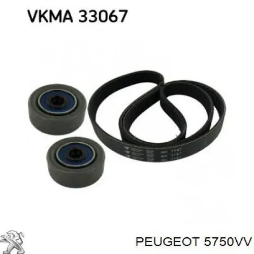 Клиновый ремень Peugeot/Citroen 5750VV цена, от 13.18 USD