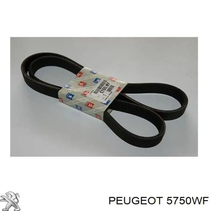 Клиновый ремень Peugeot/Citroen 5750WF цена, от 11.74 USD