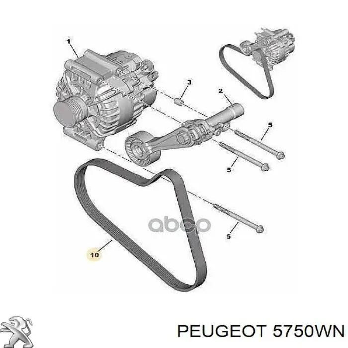 5750WN Peugeot/Citroen ремень генератора