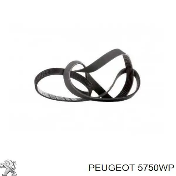Клиновый ремень Peugeot/Citroen 5750WP цена, от 21.18 USD