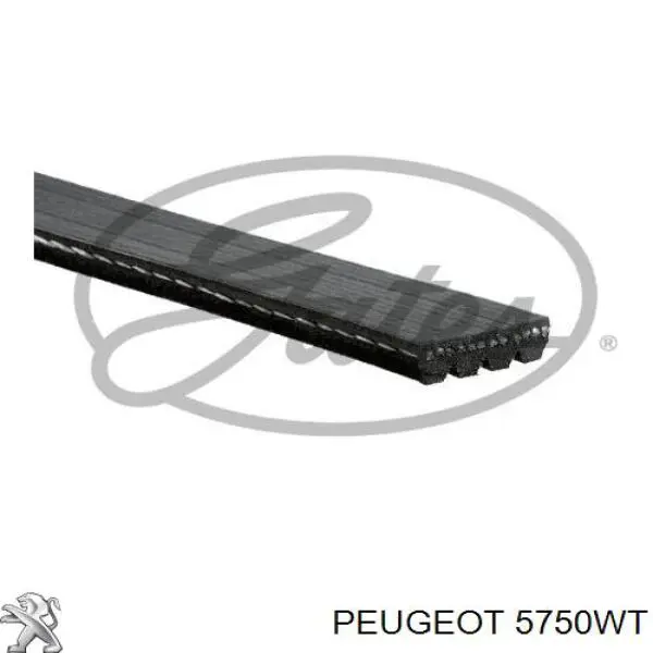Клиновый ремень Peugeot/Citroen 5750WT цена, от 7.04 USD