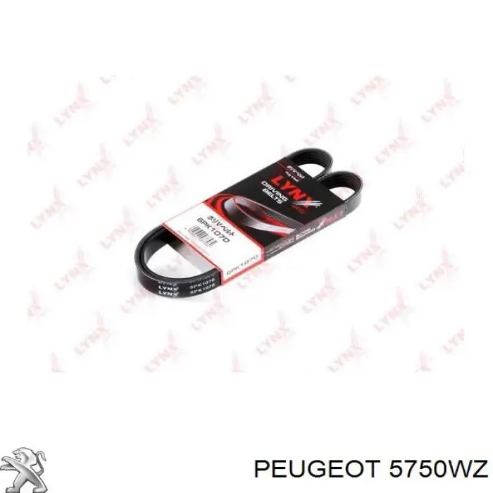 Ремень генератора 5750WZ Peugeot/Citroen