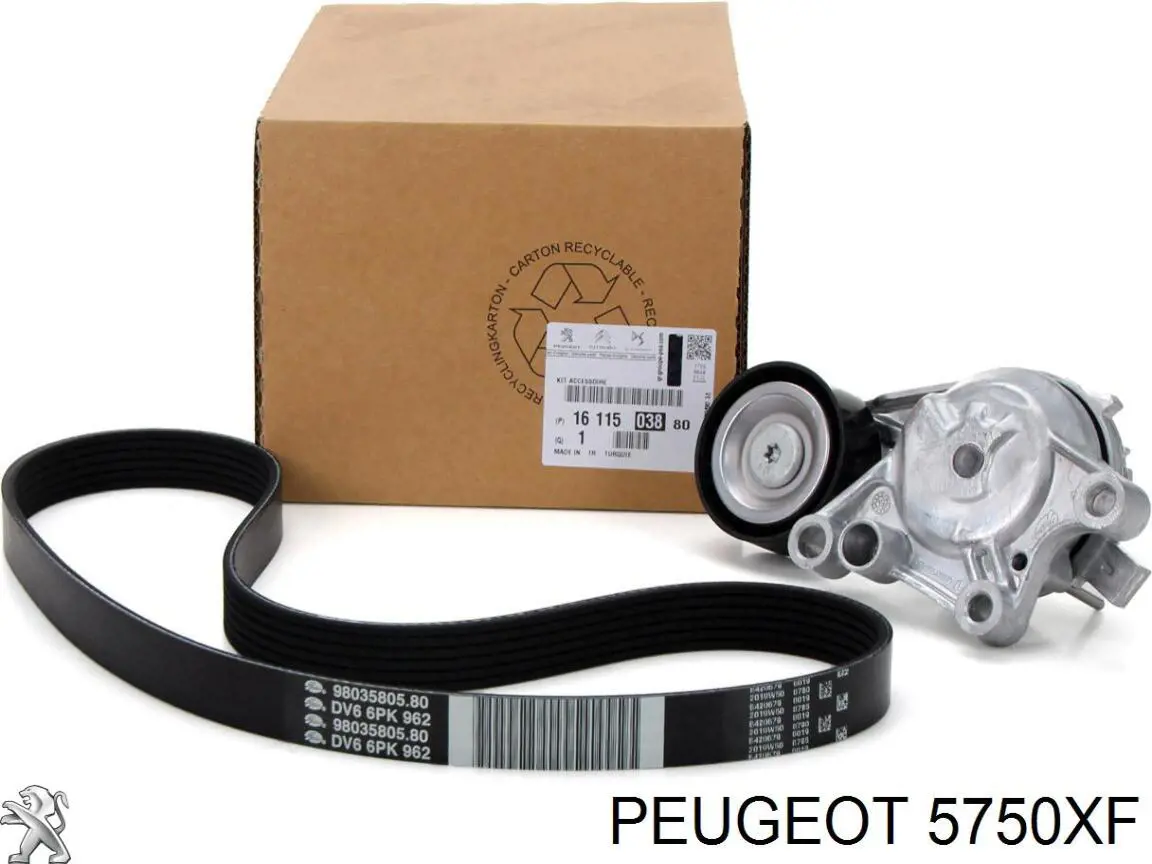 5750XF Peugeot/Citroen correia dos conjuntos de transmissão, kit