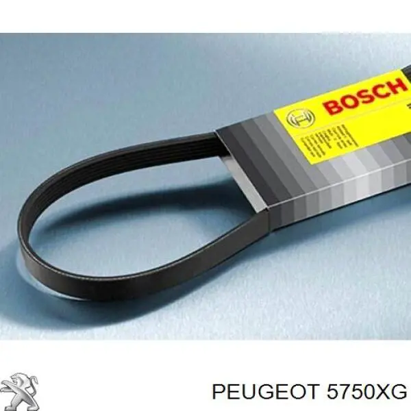Клиновый ремень Peugeot/Citroen 5750XG цена, от 12.91 USD
