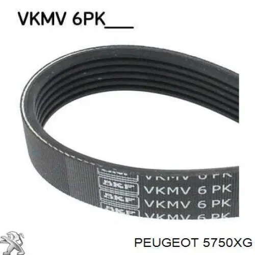 Купить 5750XG Peugeot/Citroen Ремень генератора