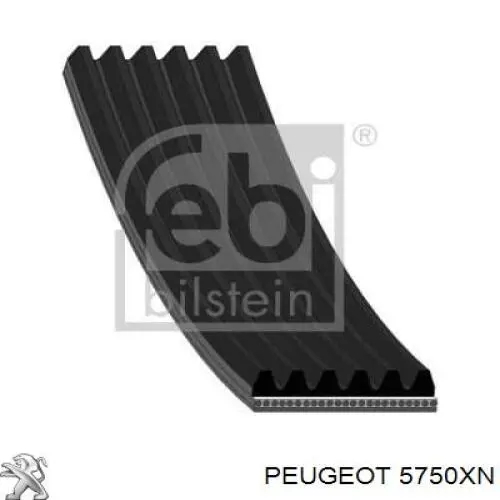 Ремень генератора 5750XN Peugeot/Citroen