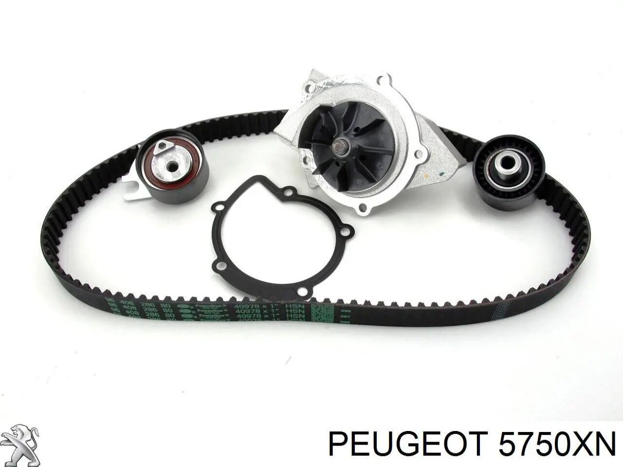 5750XN Peugeot/Citroen Поликлиновый ремень