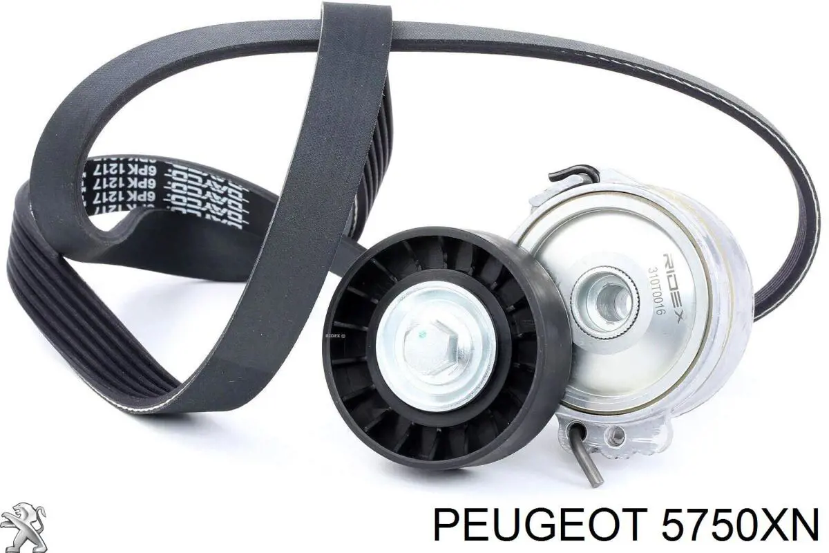 Клиновый ремень Peugeot/Citroen 5750XN цена, от 21.39 USD