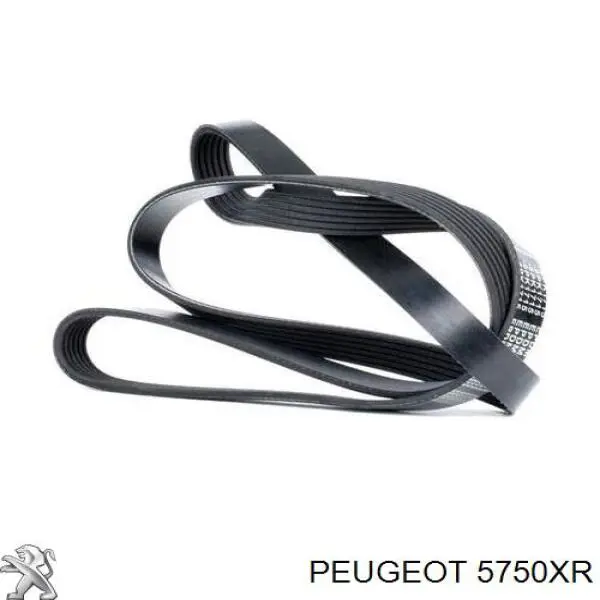 5750XR Peugeot/Citroen Поликлиновый ремень