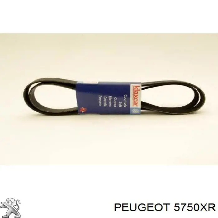 Купить 5750XR Peugeot/Citroen Ремень генератора