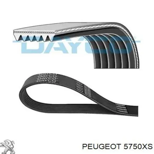 Ремень генератора 5750XS Peugeot/Citroen