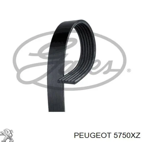 5750XZ Peugeot/Citroen ремень генератора