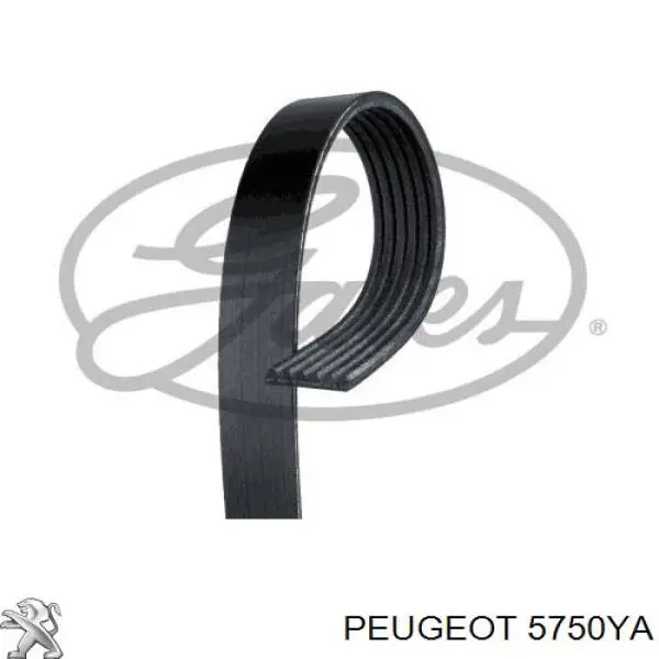 5750YA Peugeot/Citroen ремень генератора
