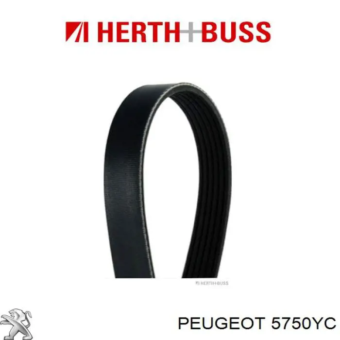 5750YC Peugeot/Citroen Поликлиновый ремень