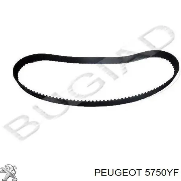 Клиновый ремень Peugeot/Citroen 5750YF цена, от 14.71 USD