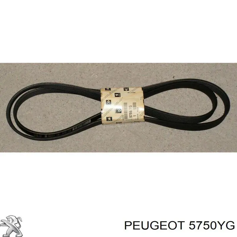 5750YG Peugeot/Citroen ремень генератора