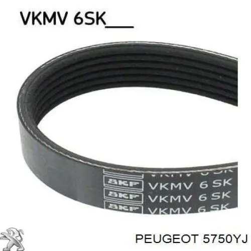 Клиновый ремень Peugeot/Citroen 5750YJ цена, от 10.52 USD