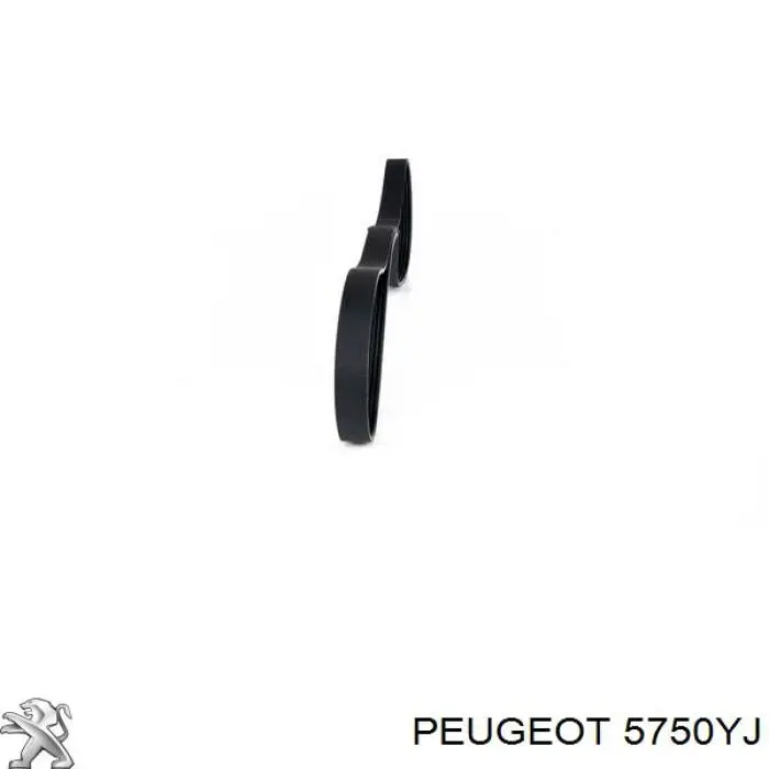Купить 5750YJ Peugeot/Citroen Ремень генератора