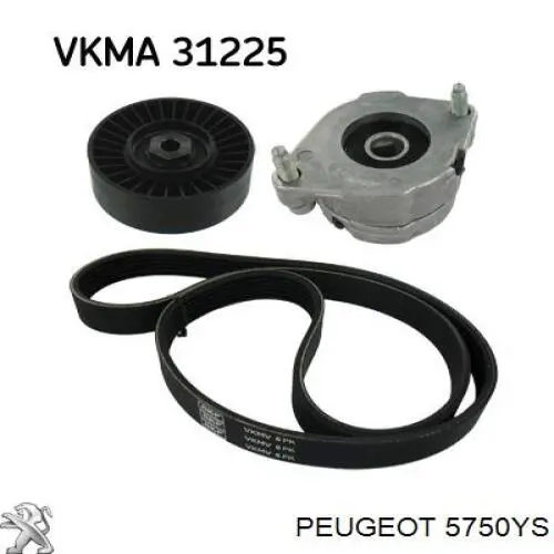 Ремень генератора 5750YS Peugeot/Citroen