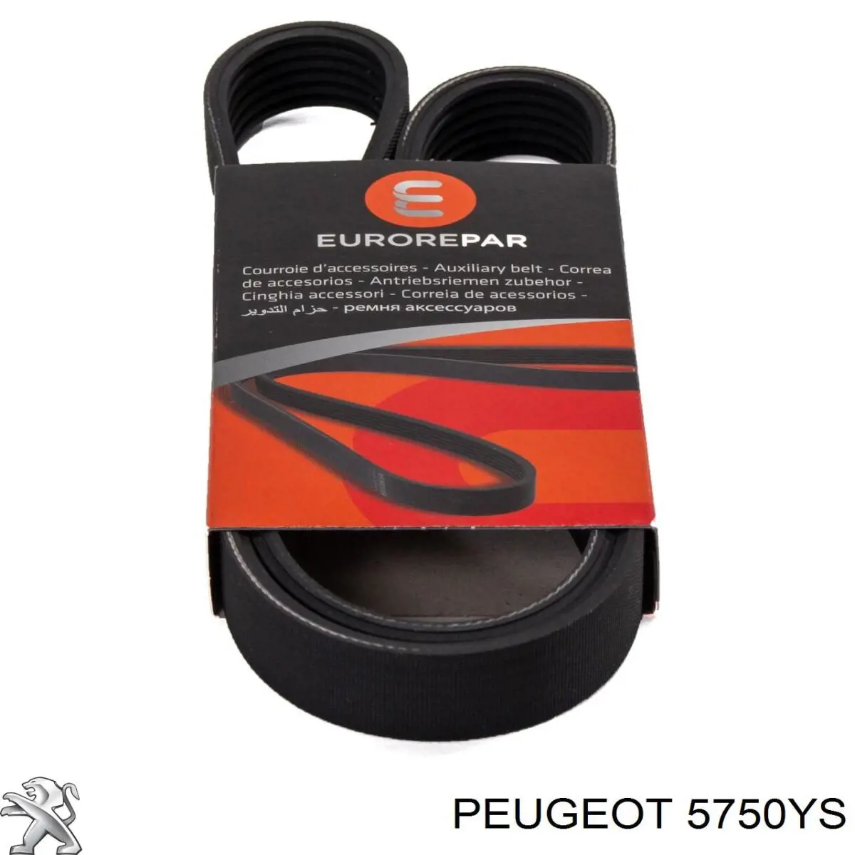 Correia dos conjuntos de transmissão Peugeot/Citroen 5750YS