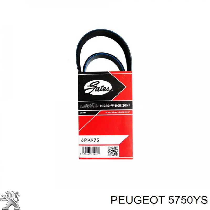 Купить 5750YS Peugeot/Citroen Ремень генератора