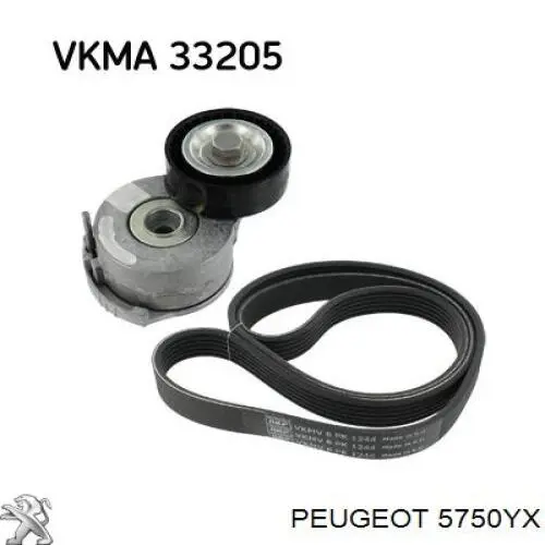 5750YX Peugeot/Citroen ремень генератора