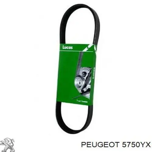 Купить 5750YX Peugeot/Citroen Ремень генератора