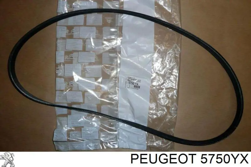 Ремень генератора 5750YX Peugeot/Citroen
