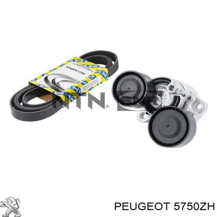 Клиновый ремень Peugeot/Citroen 5750ZH цена, от 16.30 USD