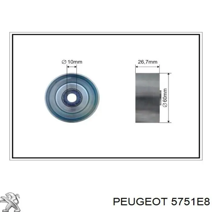 5751.E8 Peugeot/Citroen паразитный ролик
