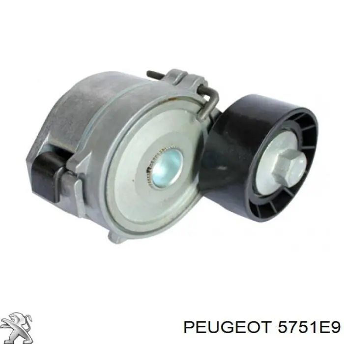 5751 E9 Peugeot/Citroen натяжитель приводного ремня