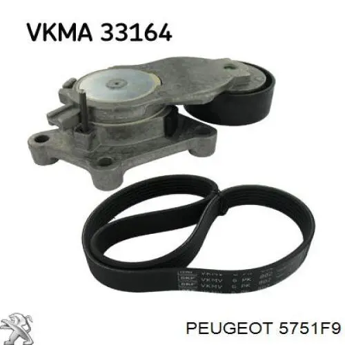 Натяжная планка поликлинового ремня Peugeot/Citroen 5751F9