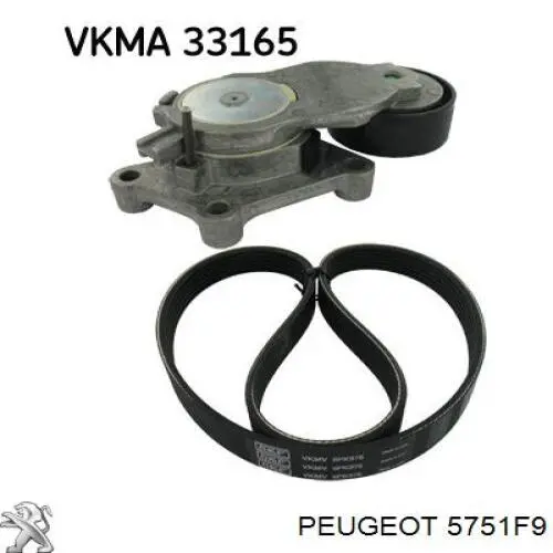 Роликовий модуль натяжителя ремня Peugeot/Citroen 5751F9 цена, от 27.01 USD