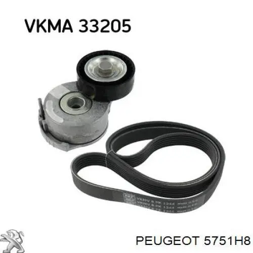Роликовий модуль натяжителя ремня Peugeot/Citroen 5751H8 цена, от 34.13 USD