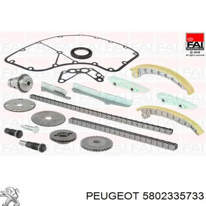 5802335733 Peugeot/Citroen amortecedor de cadeia do mecanismo de distribuição de gás, kit