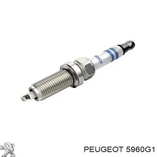 5960G1 Peugeot/Citroen vela de ignição