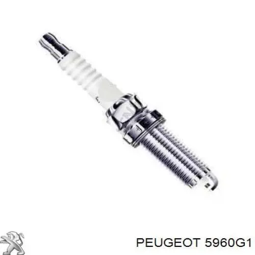 Vela de ignição 5960G1 Peugeot/Citroen
