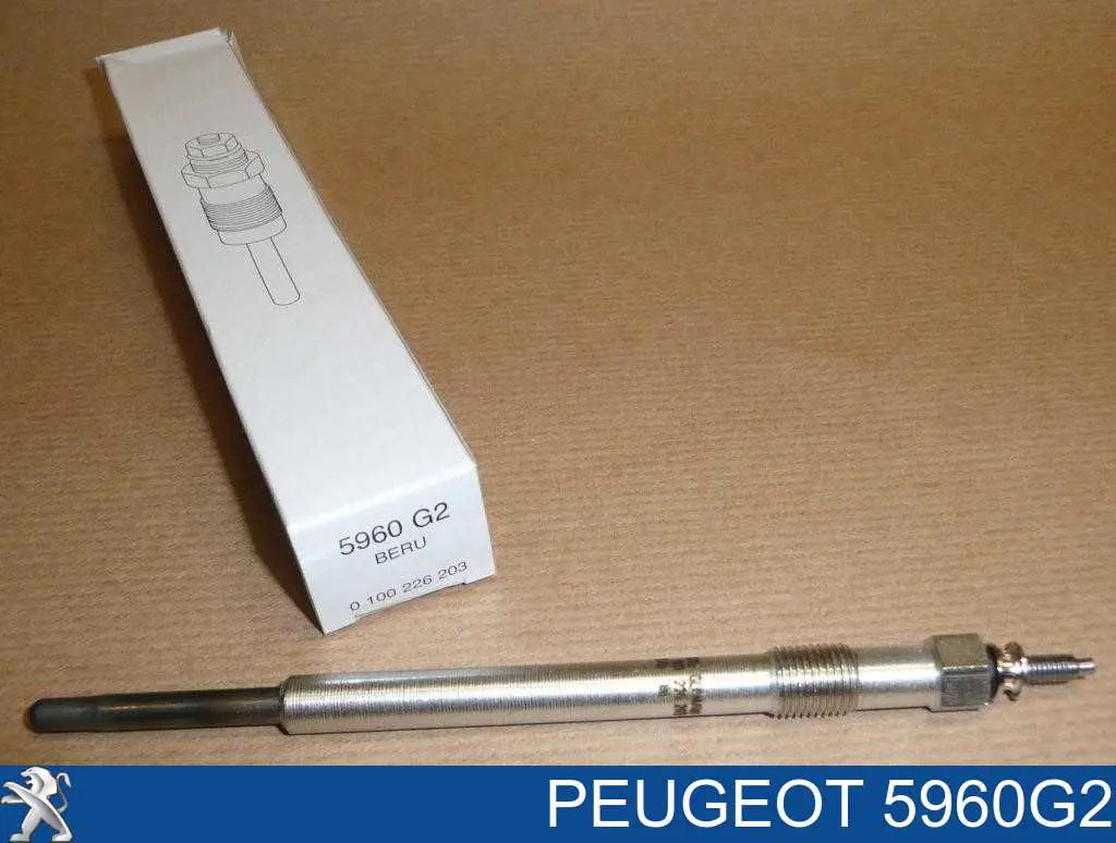 5960G2 Peugeot/Citroen vela de incandescência