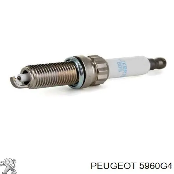 5960G4 Peugeot/Citroen vela de ignição