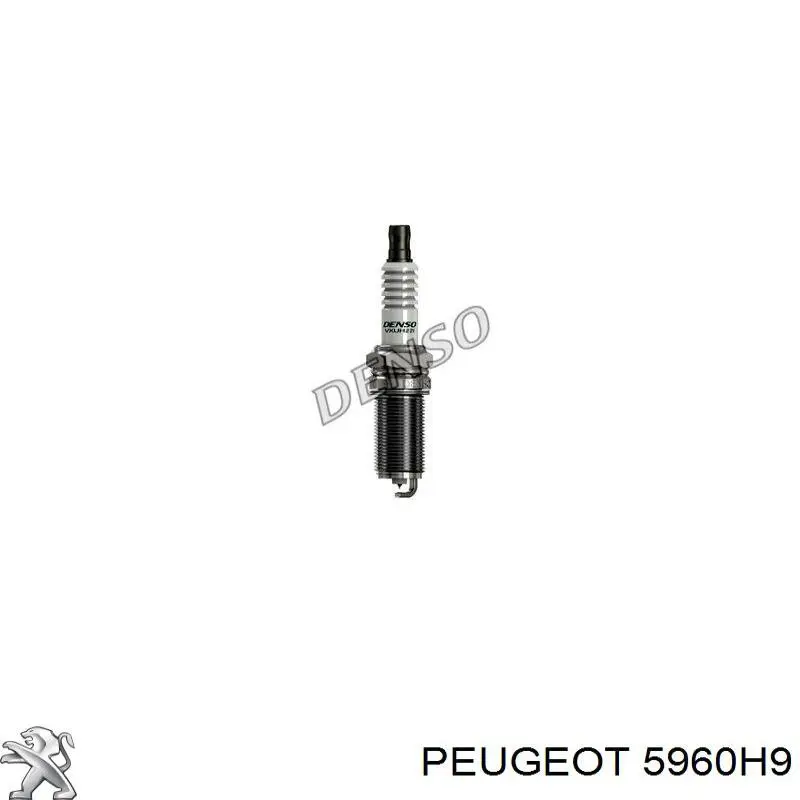 Свечи зажигания 5960H9 Peugeot/Citroen